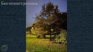 ТЕСТ КАМЕР iPhone 13 | НА ЧТО ОНА СПОСОБНА?