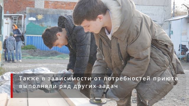 Собачья радость 2.0