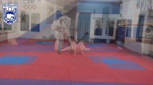 Setsu Bama Yama Bunkai Shotokan Fudokan Karate