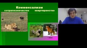 Подготовка к  региональному этапу всероссийской олимпиады школьников. Экология
