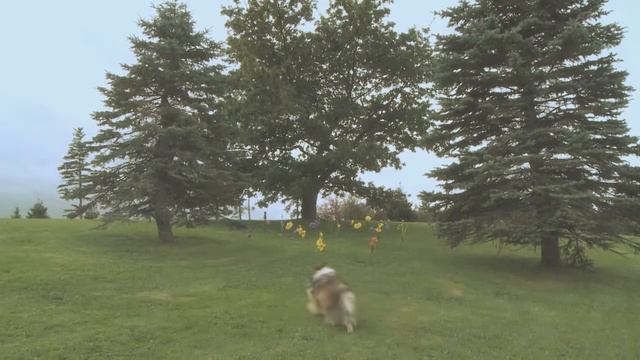 Mickey and Some Other friends of Him. смотреть онлайн