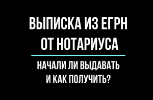 Выписка из ЕГРН через нотариуса. Начали ли выдавать и как получить?| Юрхакер