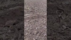 немного о настройке плуга