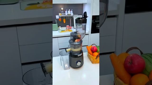 Rebune Slow Juicer