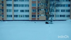 праздник к нам приходит)?⛄❄️?