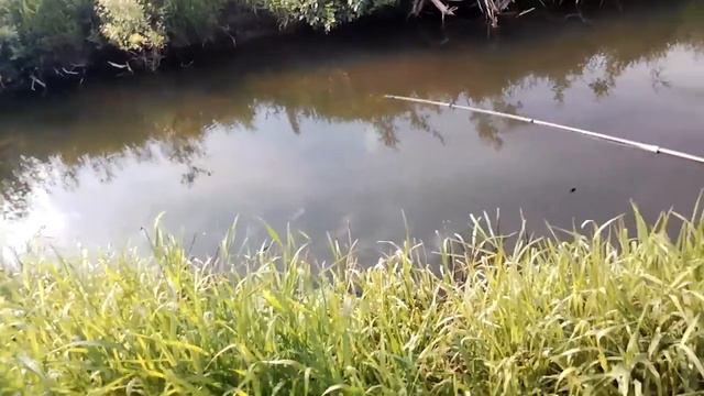 Вот эта рыбалка) смотреть онлайн