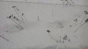 Мережа для ловли рыбы