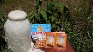 ДРОЖЖИ КАК УДОБРЕНИЕ !!! ПОДКОРМКА ДРОЖЖАМИ !!!