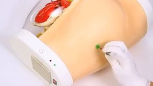 Модель бедра для В.М. инъекций