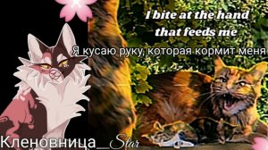 #18 Утерянные файлы /Звездоцап и Златошейка/коты воители