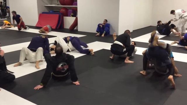 Риад 2016 (Riad Djamalbeili) смотреть онлайн