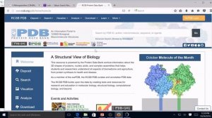 How to Study Protein-Ligand Interaction through Molecular Docking