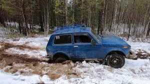 В поисках тетерева, 31.10.2020