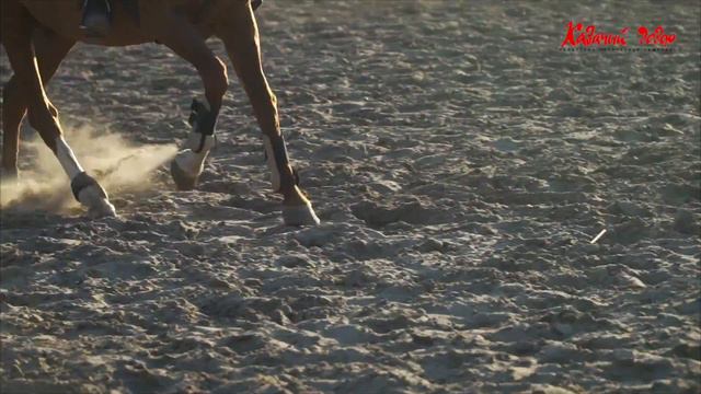 Казачий дозор, рекламное видео смотреть онлайн