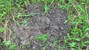 Как начать добывать золото. Пособие для начинающих старателей..