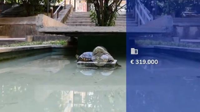 TRILOCALE VIA TIBURTINA смотреть онлайн