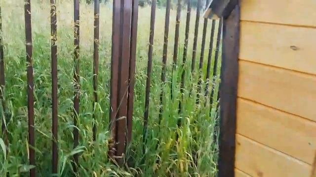 Дачный туалет,туалет для дачи своими руками за 2 часа