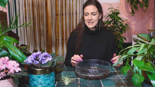 O tym PAMIĘTAJ przy podlewaniu roślin, wszystkie sekrety podlewania UJAWNIONE!:) смотреть онлайн