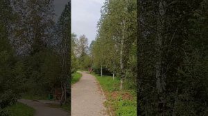 Велопрогулка. Красноярск