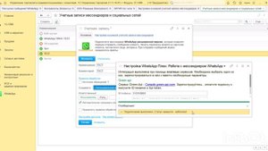 Видео-демонстрация основного функционала интеграции с WhatsApp