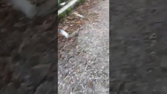 Заброшенный отель в Крыму смотреть онлайн