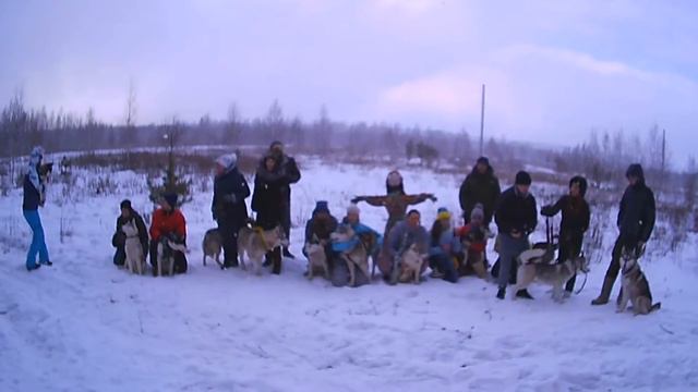 День с Хаски смотреть онлайн