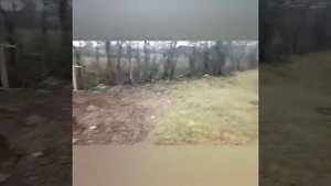 Хранение семенного картофеля в бурте /Заканчиваем работы в огороде #хранениекартофеля #мтз112