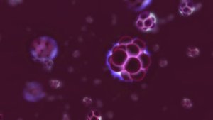 Откуда появилось золото?