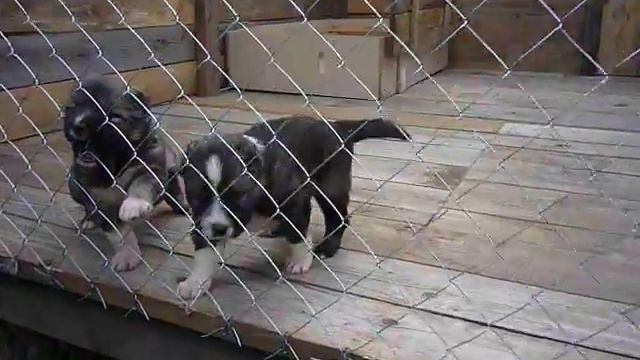 P1040736 смотреть онлайн