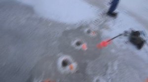 ТРУДОВАЯ РЫБАЛКА НА КОРЮШКУ НА ДАМБЕ ФИНСКОГО ЗАЛИВА! ТЕПЕРЬ МЫ ЗНАЕМ КАК ЕЁ ПОЙМАТЬ! СЕЗОН ОТКРЫТ!