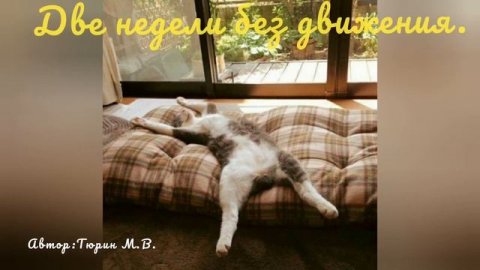 Стих Обсерватор
стихидлядуши стихиподмузыку красивыестих