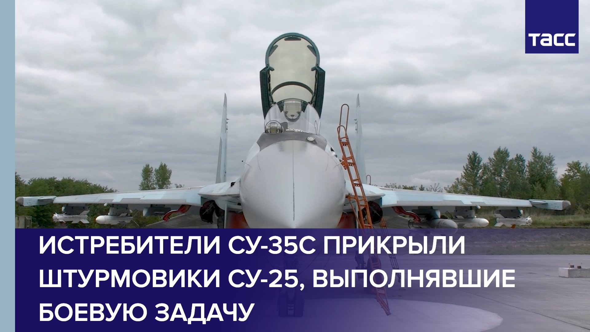 Истребители Су-35С прикрыли штурмовики Су-25, выполнявшие боевую задачу