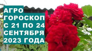 Агрогороскоп с 21 по 24 сентября 2023 года. Agrohoroscope from September 21 to 24, 2023