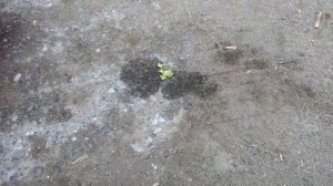 Опель мерива воздушный фильтр