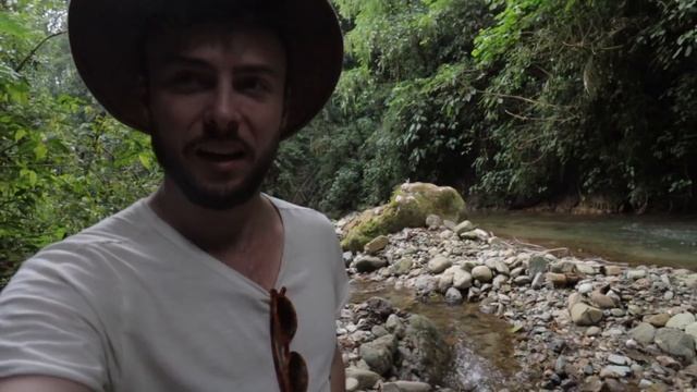 THE BEST WAY TO SEE THE COLOMBIAN JUNGLE ?? SALENTO, COLOMBIA смотреть онлайн