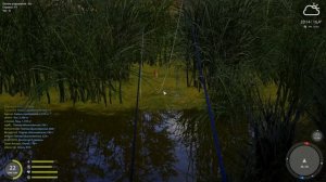 Русская рыбалка 4. РАБОЧАЯ ТОЧКА. ЗАКРЫВАЕМ ТРОФЕЙ. ЛЯГУШКА.