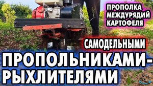 Прополка междурядий картофеля САМОДЕЛЬНЫМИ ПРОПОЛЬНИКАМИ-РЫХЛИТЕЛЯМИ. Мотоблок АГАТ..mp4