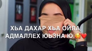 Дала декъал йойла хьо Медни