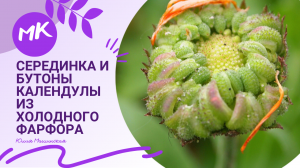 Мк серединка и бутоны Календулы из холодного фарфора.