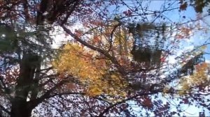 ОСЕННЕЕ КАРАОКЕ.  Вальс Бостон.