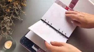 Планер на кольцах ручной работы