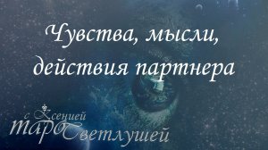 Онлайн гадание. ЧУВСТВА, МЫСЛИ, ДЕЙСТВИЯ ПАРТНЕРА. Таро с Ксенией Светлушей