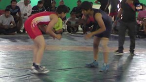 Dangal Fame Geeta And Babita Phogat Sister Ritika Ends Her Life After Losing Wrestling Match!