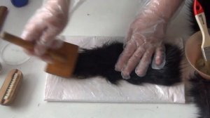 Покраска натурального меха в домашних условиях.