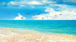 Инструментальная музыка для созерцательной молитвы | Пророческая пропитка (2)