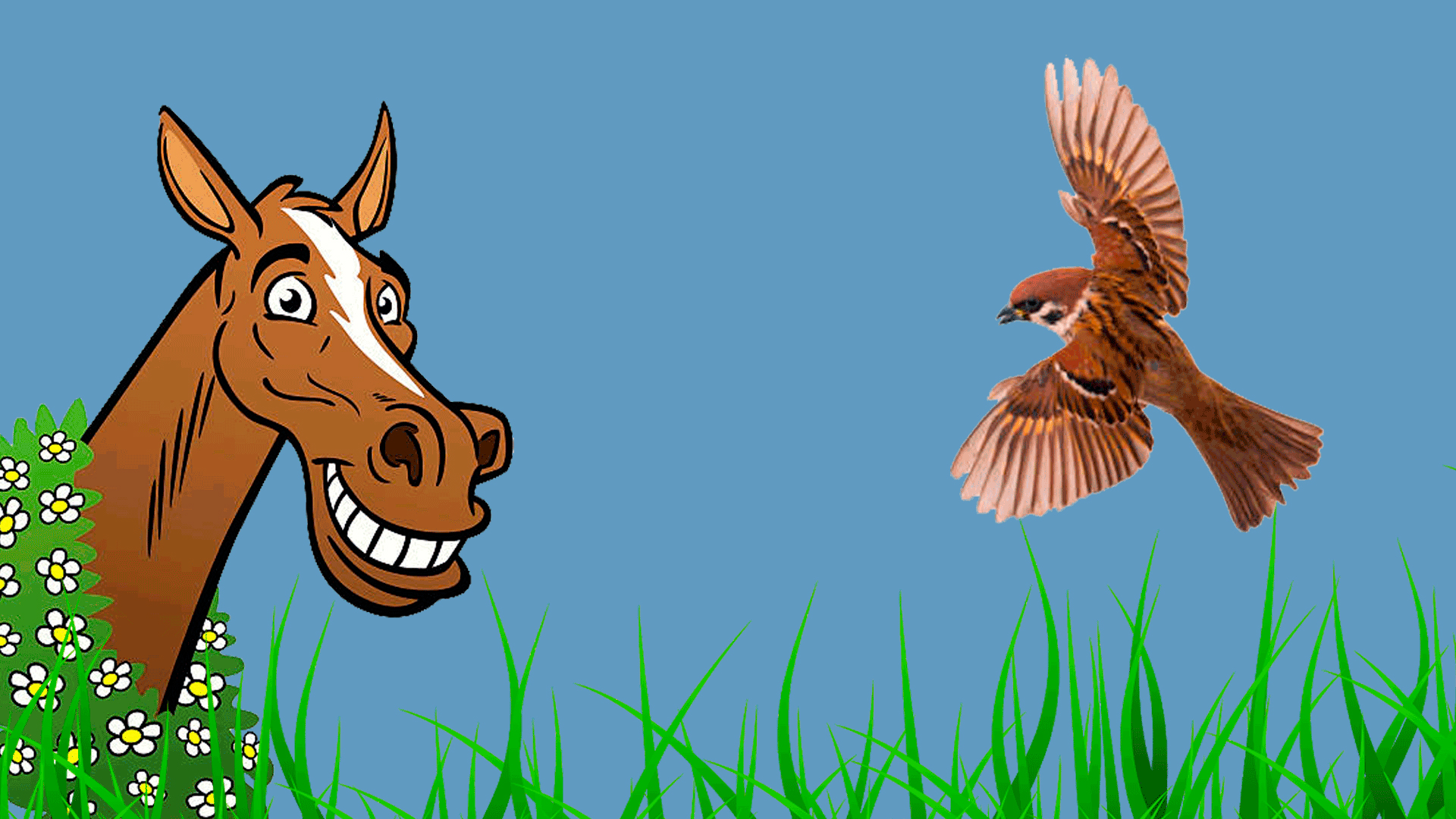 Пословица про гнездо. Всякая птица пословица. Пословица про гнездо. Элюстрация. Глупа та птица которой свое.