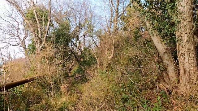 Поверженный туалет и тропа вдоль газовой трубы! ?ЛАЗАРЕВСКОЕ СЕГОДНЯ?СОЧИ. смотреть онлайн