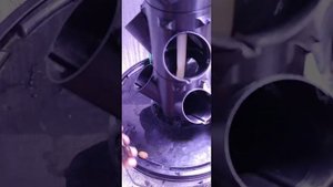 Новые цели требуют новых знаний на гидропонике клубника гниение корней