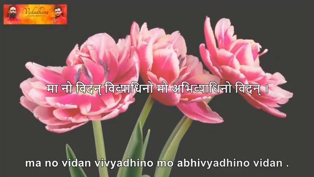 Mantra For Success Over Rivals with Lyrics in Sanskrit and English | Vedadhara | смотреть онлайн