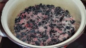 Жимолость на зиму / Густой и терпкий конфитюр из жимолости